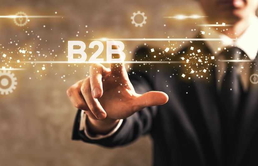 web profesional B2B