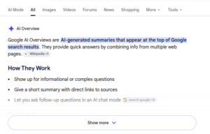 Google AI Overviews